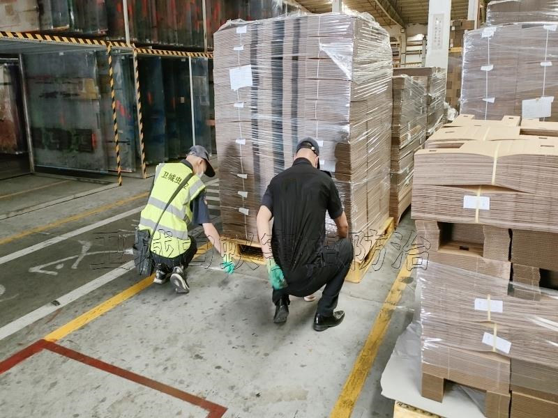 蘿崗區東區街道白蟻防治丨廣州市東區滅治白蟻除殺白蟻公司