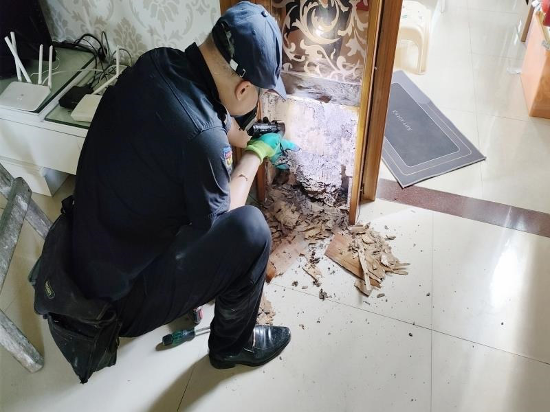 荔灣區茶滘街道白蟻防治所中心丨廣州市荔灣茶滘除殺白蟻滅治白蟻質量保證