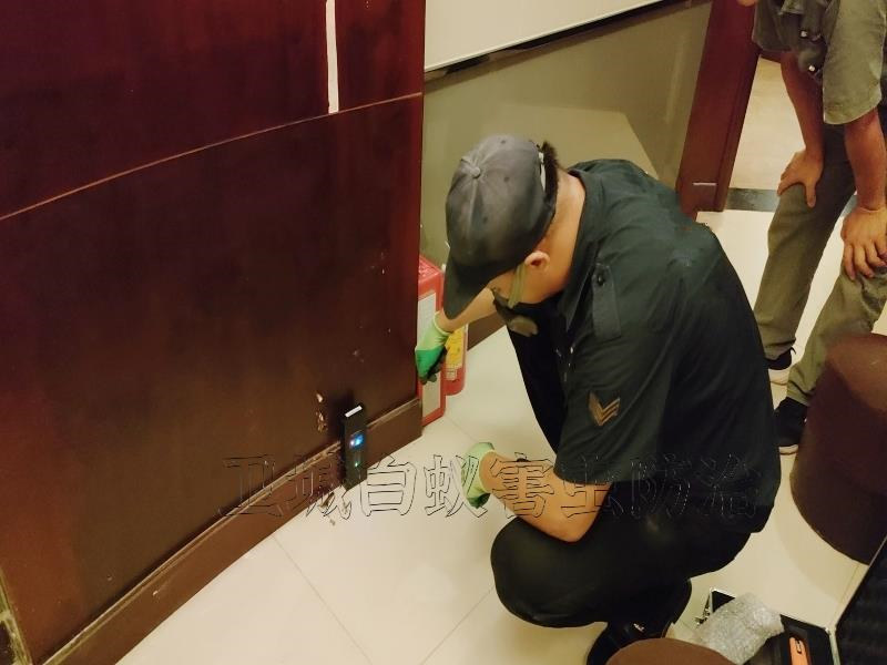 荔灣區(qū)橋中白蟻防治中心丨廣州市荔灣橋中消殺白蟻防治滅除更徹底