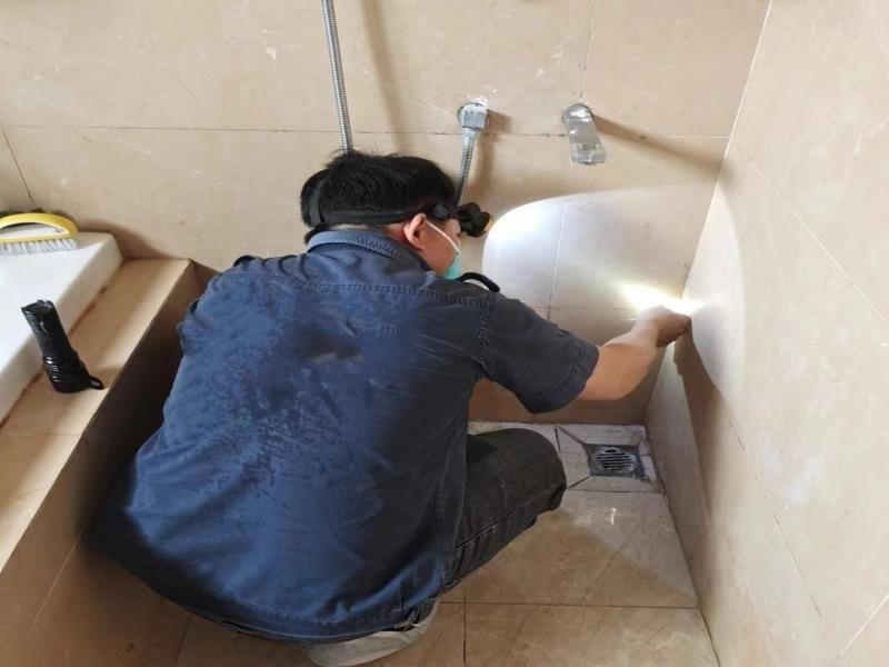 番禺區大崗白蟻防治中心丨質量有口皆碑廣州番禺區大崗滅白蟻公司