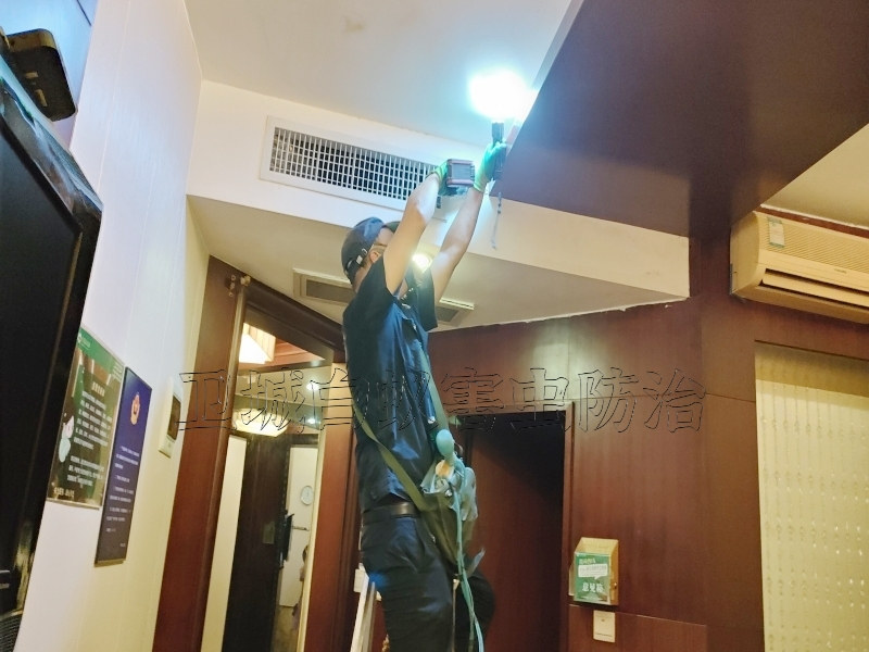 廣州番禺區鐘村白蟻防治中心丨番禺｛你附近的白蟻防治公司｝鐘村滅白蟻殺防白蟻