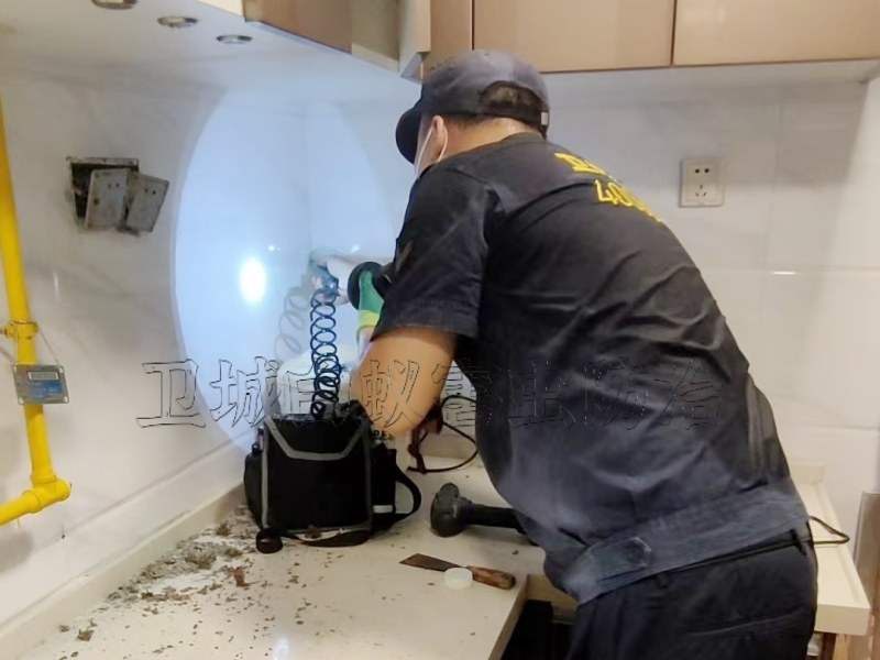 番禺區市橋白蟻防治公司-廣州番禺市橋治理滅白蟻工作