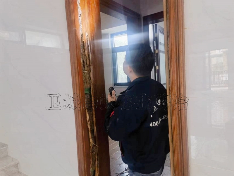 寶安公明白蟻防治所公司,深圳寶安公明滅白蟻公司