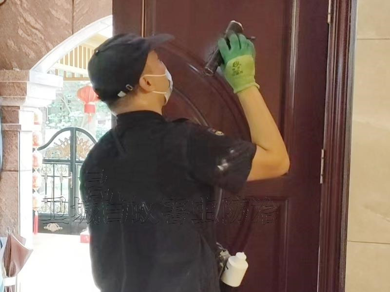 龍崗區南澳白蟻防治中心_深圳南澳滅白蟻公司_南澳防治白蟻