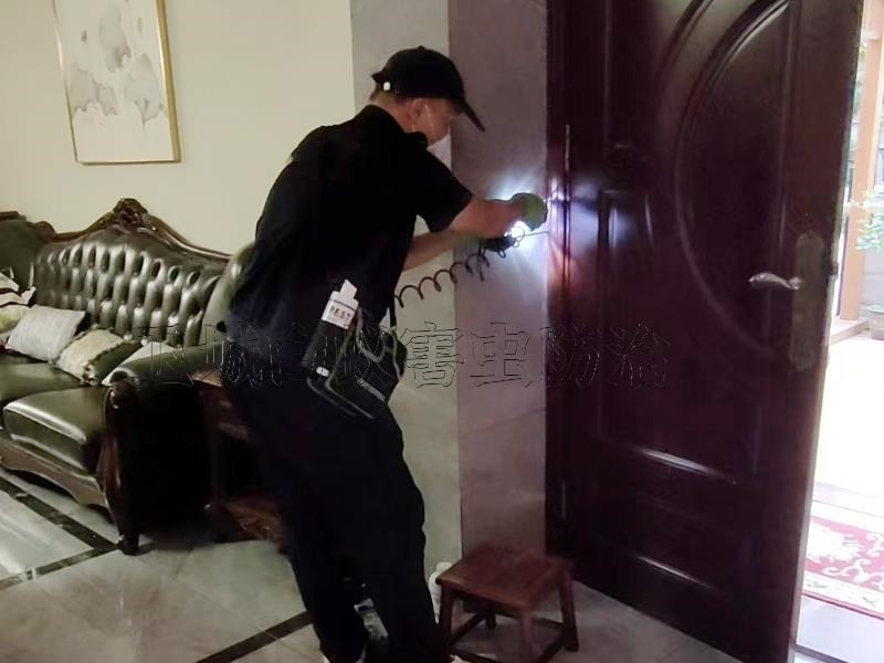 龍崗區南灣白蟻防治中心丨深圳南灣滅白蟻公司{殺白蟻收費價格}