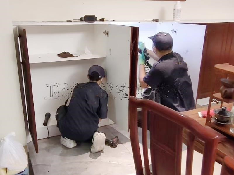 龍崗區(qū)坪地白蟻防治中心丨{坪地白蟻防治}深圳坪地滅白蟻公司