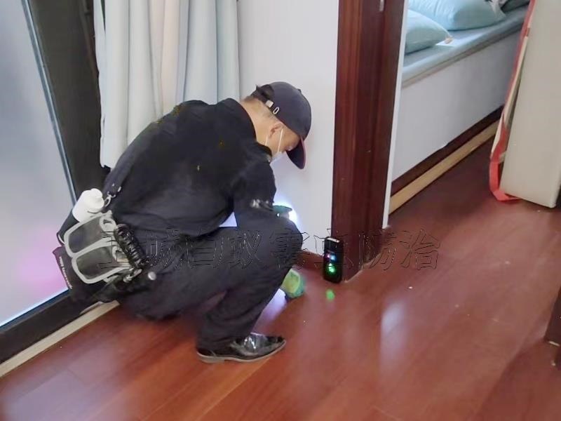 龍崗區坪山白蟻防治,深圳坪山滅白蟻公司讓您100%滿意