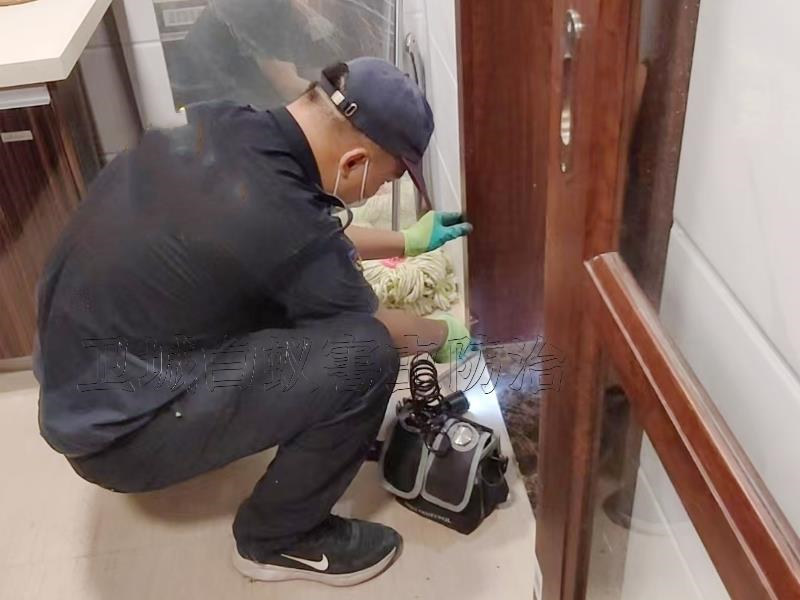 羅湖區東湖街道白蟻防治中心丨深圳東湖滅白蟻公司