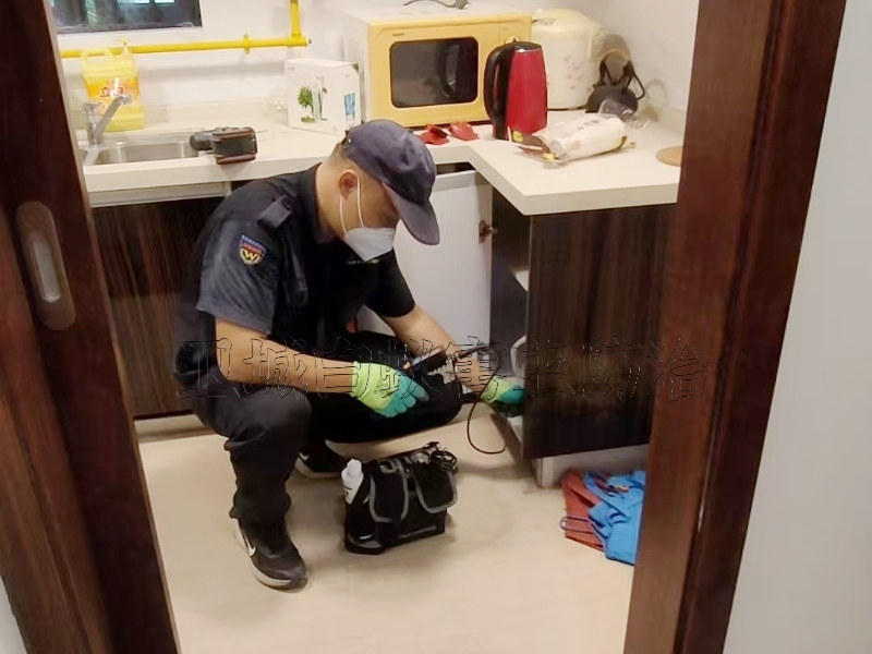 南山區蛇口白蟻防治中心_深圳蛇口滅白蟻公司