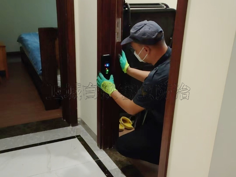 鹽田區沙頭角白蟻防治所公司_隨叫隨到深圳沙頭角滅白蟻公司