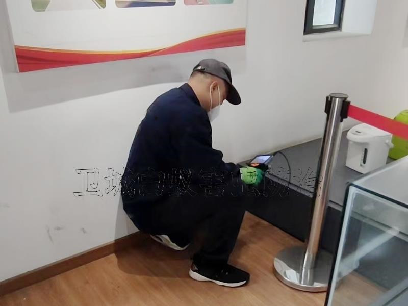 東莞鳳崗白蟻防治中心_東莞鳳崗白蟻防治滅白蟻公司服務(wù)周到