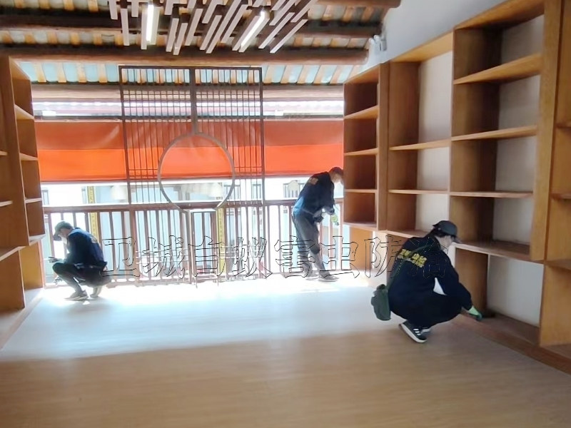 東莞清溪白蟻防治中心_東莞清溪白蟻防治滅白蟻公司技術(shù)精湛