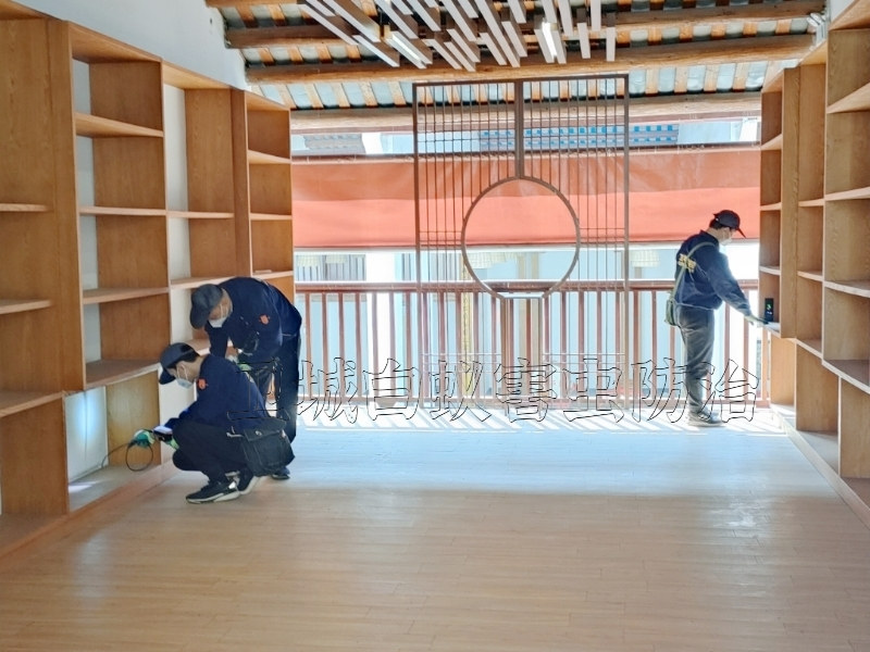 東莞清溪白蟻防治公司,清溪滅白蟻公司,清溪白蟻防治中心