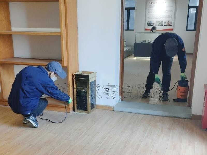 東莞茶山白蟻防治中心_茶山滅白蟻公司{今日已更新}茶山白蟻防治