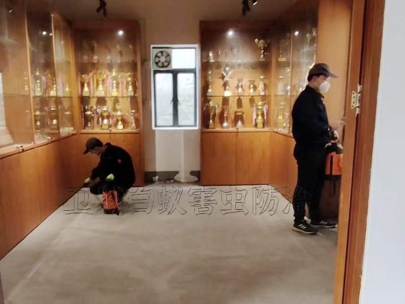 東莞茶山白蟻防治所公司_茶山滅白蟻公司