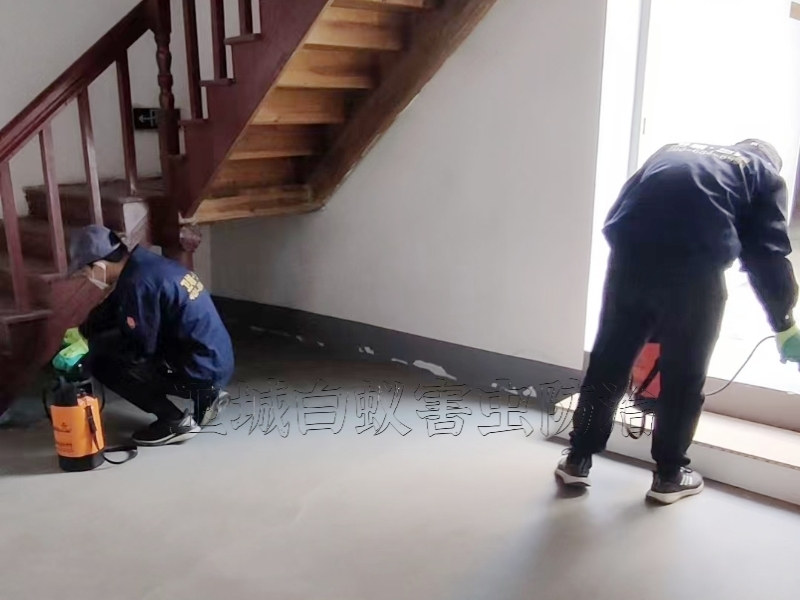 東莞長安白蟻防治所公司_東莞{長安白蟻防治不二之選}長安滅白蟻公司