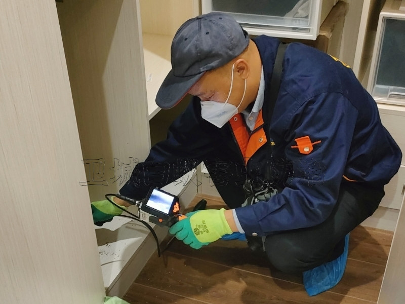 東莞常平白蟻防治所公司_企業推薦{常平白蟻防治}常平滅白蟻公司