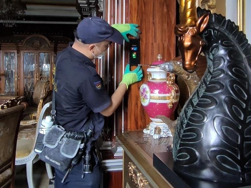 東莞大嶺山白蟻防治所公司_村民大力推薦{大嶺山滅白蟻公司}大嶺山白蟻防治