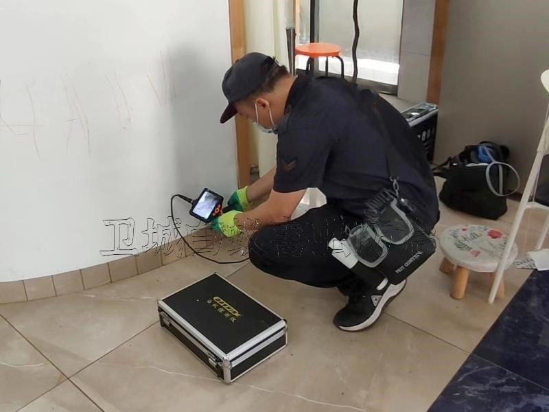 東莞道滘白蟻防治所公司_可靠的{道滘滅白蟻公司}道滘白蟻防治