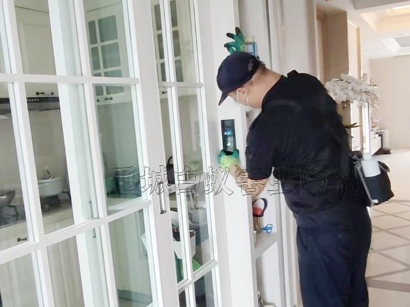 東莞寮步白蟻防治所公司_滅白蟻{寮步白蟻防治}優惠全市最平