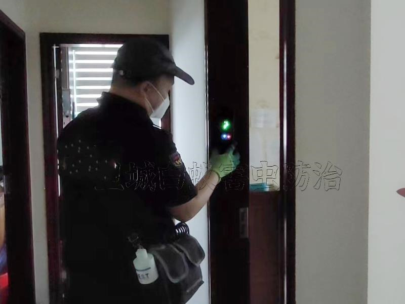 東莞沙田白蟻防治公司_十佳防治企業{沙田鎮白蟻防治中心}滅白蟻