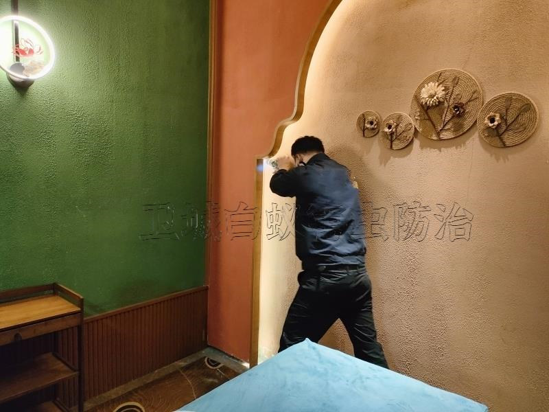 東莞謝崗白蟻防治所公司_東莞市{謝崗鎮白蟻防治}除殺白蟻所