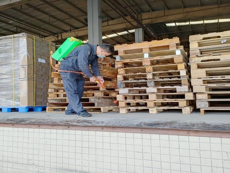 東莞謝崗白蟻防治中心丨謝崗滅白蟻公司本地服務滅白蟻專業防治