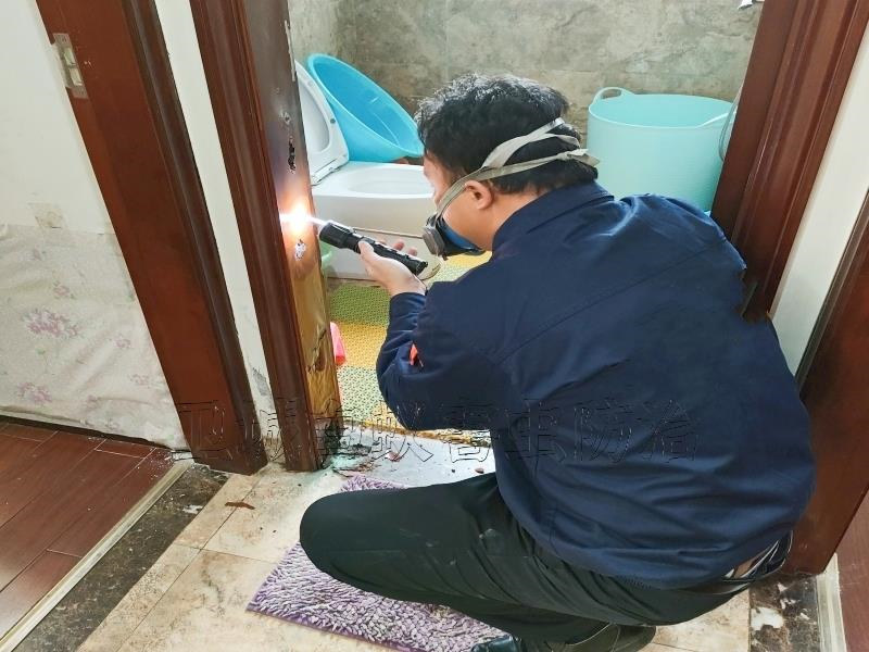 東莞樟木頭白蟻防治所公司_{樟木頭鎮白蟻防治}滅白蟻工程