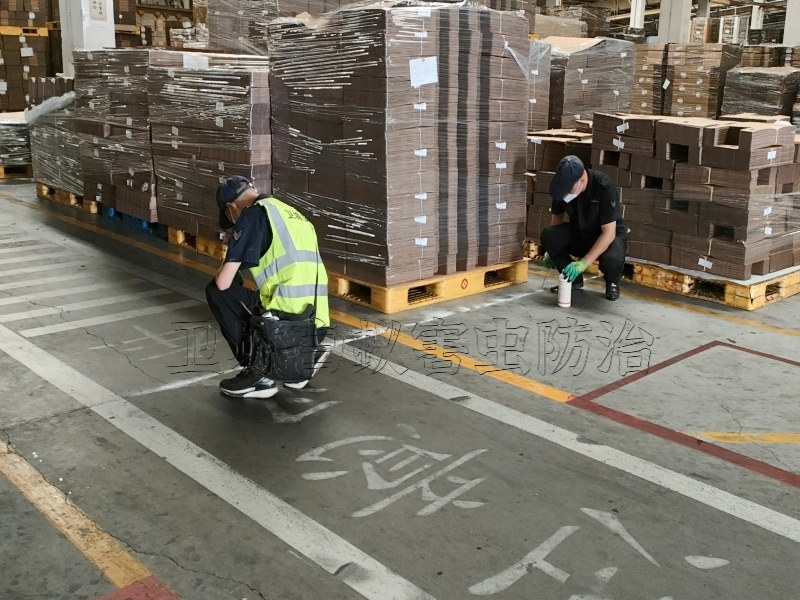 深圳梅林白蟻防治中心_深圳福田區(qū)梅林白蟻防治蟲鼠工程有限公司