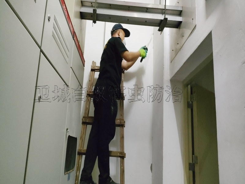 東莞塘廈白蟻防治丨塘廈白蟻防治服務(wù)中心丨專業(yè)塘廈滅白蟻公司