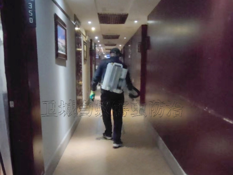 長安白蟻防治站公司_長安白蟻防治中心服務所快速上門滅白蟻