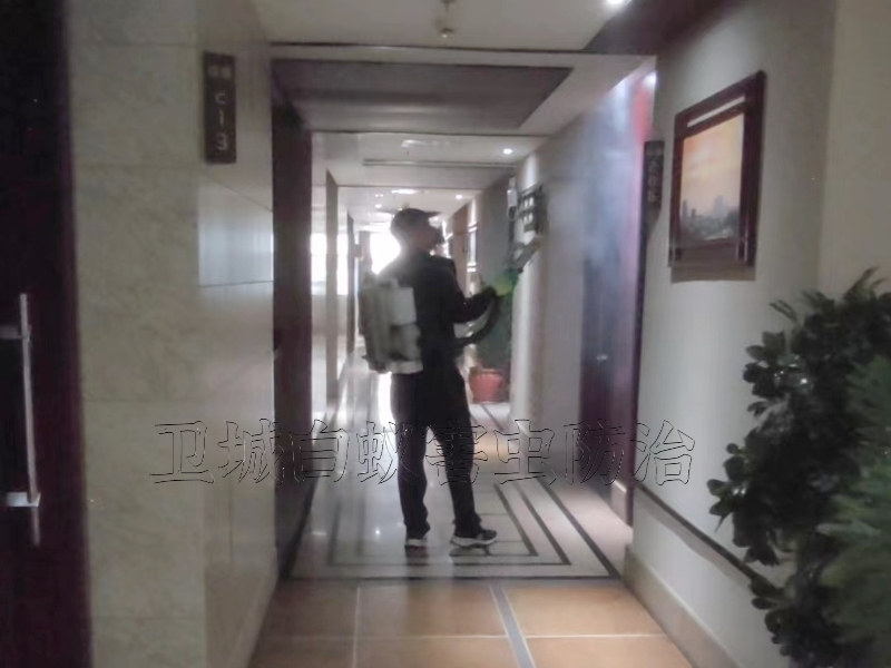 東莞清溪消殺所公司_清溪殺蟲公司_清溪殺臭公司滅蟑螂跳蚤滅治方案