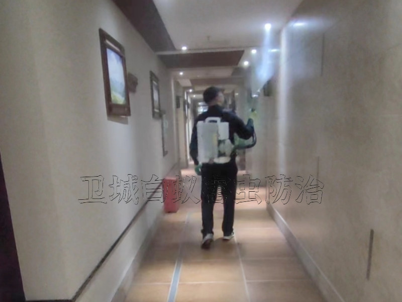 東莞常平消殺中心公司_常平殺蟲公司_常平滅臭公司臭蟲高發季節保證效果