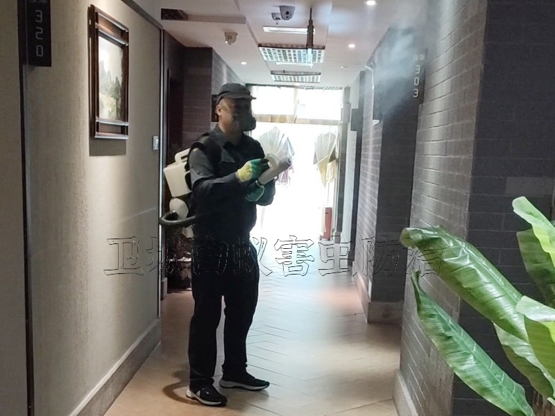 東莞謝崗消殺中心公司_謝崗殺蟲公司_謝崗滅臭蟲防治公司上門解決源頭蟲害