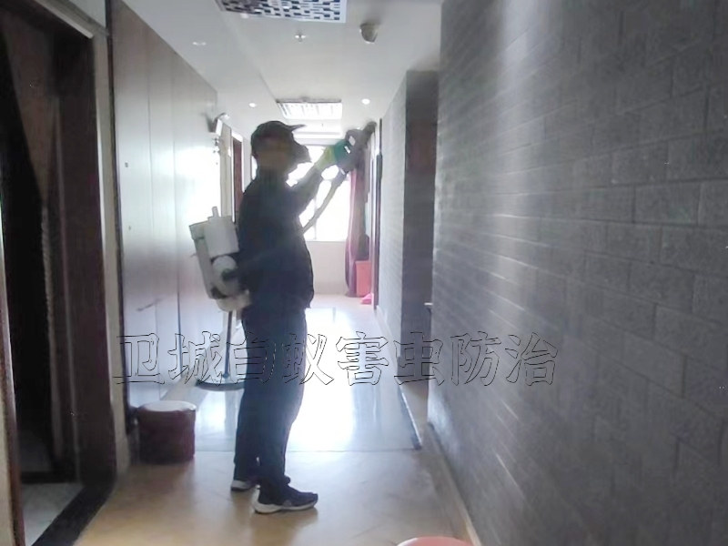 工廠專業黃江消殺公司_黃江滅臭蟲防治公司_東莞黃江殺蟲公司滅蚊蠅