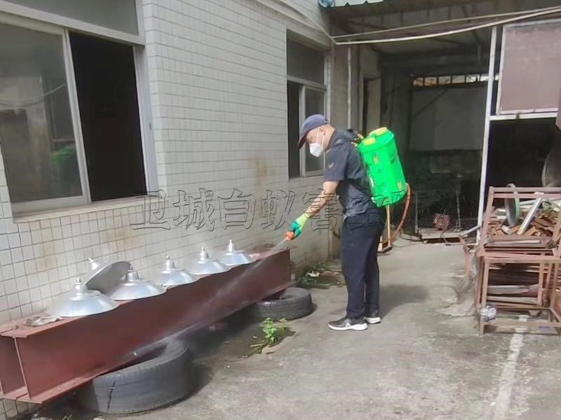 東莞大嶺山消殺公司_大嶺山滅臭蟲防治公司_專家組上門滅螞蟻除蟑螂找衛城殺蟲公司