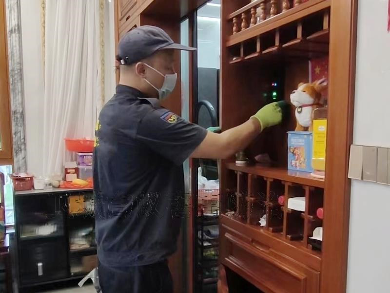 惠州市惠陽區家居白蟻檢測滅治服務-衛城攜高端白蟻檢測設備上門檢測