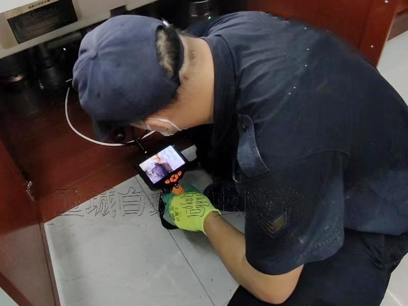 惠州市惠東縣家居白蟻檢測滅治服務-衛城攜高端白蟻檢測設備上門檢測