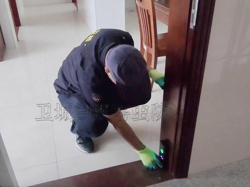 惠州市仲愷區(qū)家居白蟻檢測(cè)滅治服務(wù)-衛(wèi)城攜高端白蟻檢測(cè)設(shè)備上門檢測(cè)