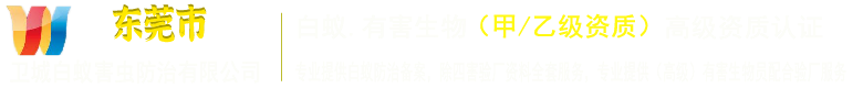 東莞白蟻防治中心
