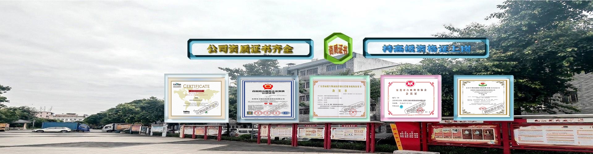 惠陽(yáng)白蟻防治,惠城白蟻防治