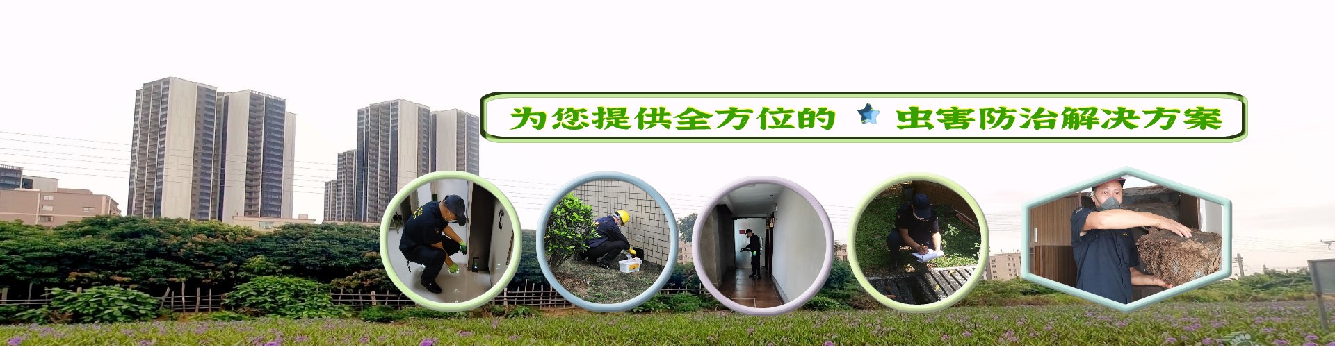 淡水白蟻防治,大亞灣白蟻防治,澳頭白蟻防治中心