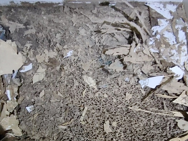 惠州白蟻防治所，惠州白蟻防治中心