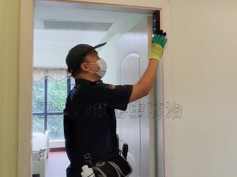 博羅石灣白蟻防治中心，石灣滅除白蟻