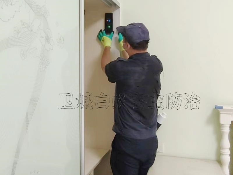 專業提供惠州除四害殺蟲公司