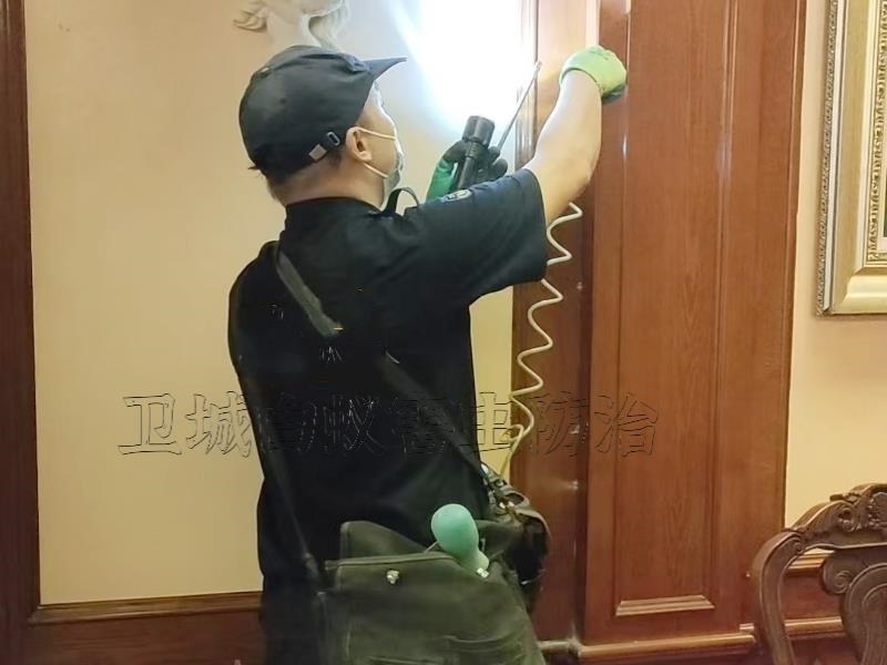 惠州白蟻防治，惠州滅白蟻公司