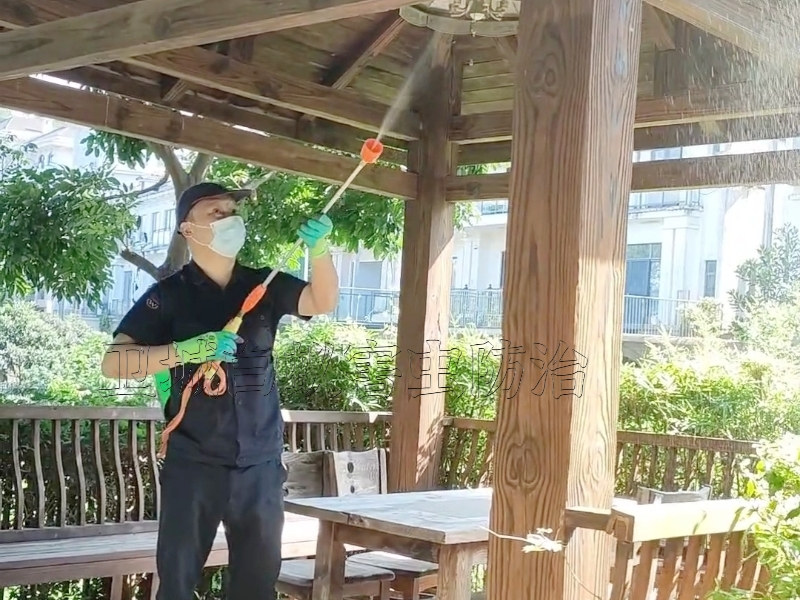 惠州白蟻防治,惠州白蟻防治公司-白蟻侵入房屋的途徑解析