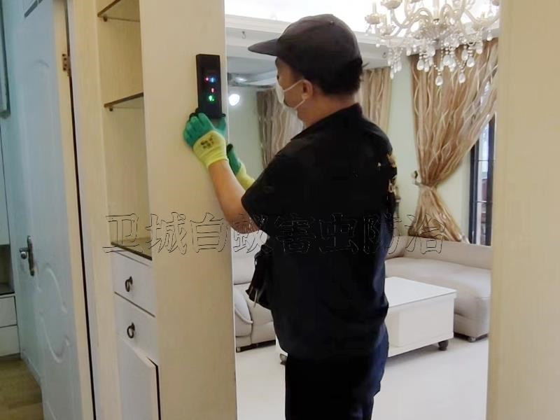 惠州白蟻消殺公司，惠城白蟻防治中心