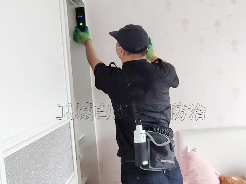 惠州白蟻防治中心，惠城白蟻防治所