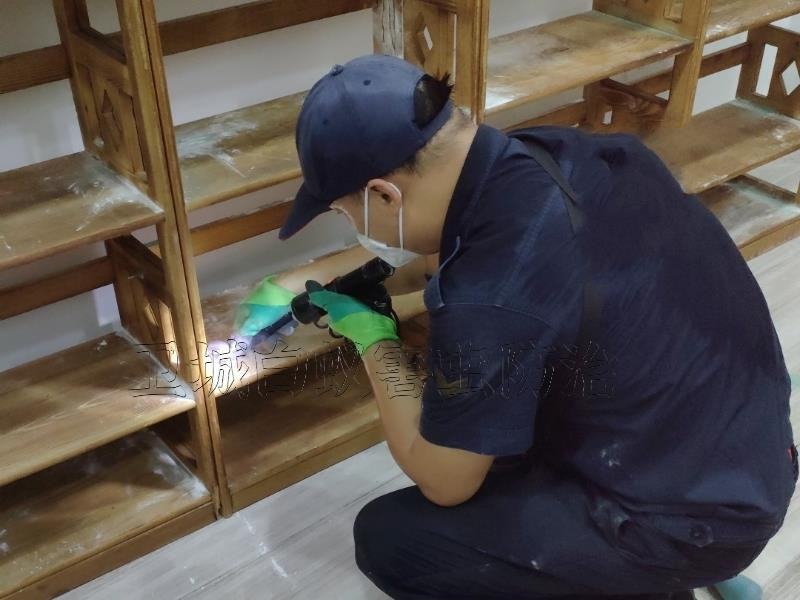 惠州滅白蟻公司,惠州除白蟻中心,惠州防治白蟻